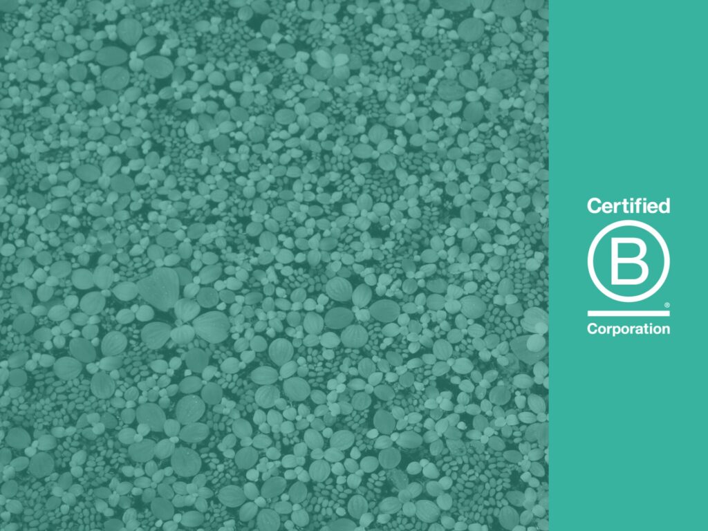 B Corp logo blog header image with plants and teal image overlay