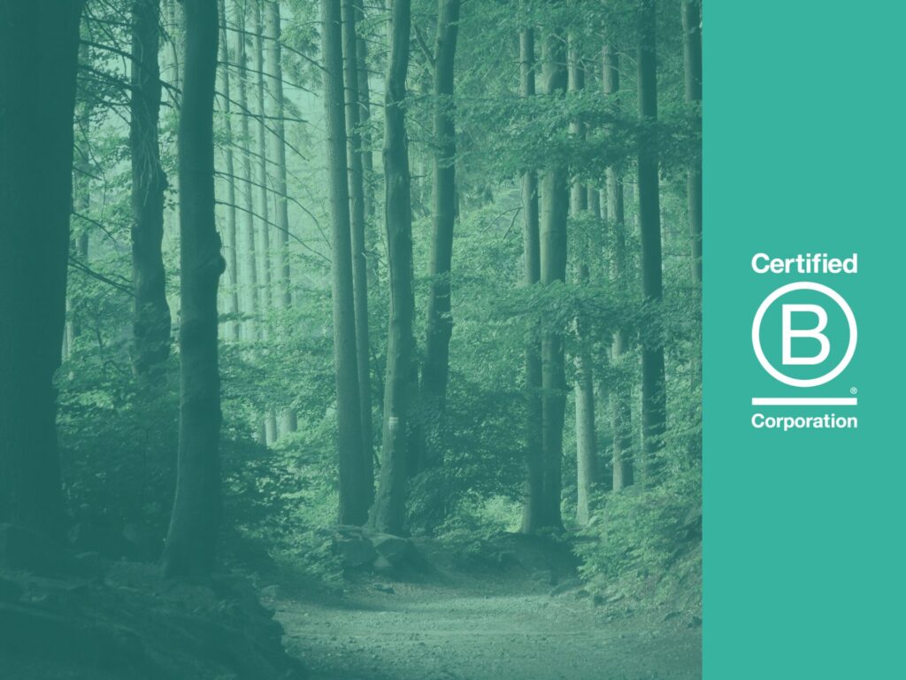 B Corp logo blog header image with woodlands and teal image overlay