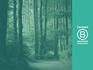 B Corp logo blog header image with woodlands and teal image overlay