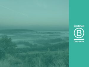 B Corp logo blog header image with rolling fields in mist and teal image overlay