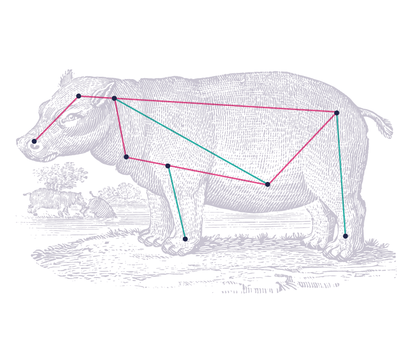 FD Woodcut Illustration Hippo Dots