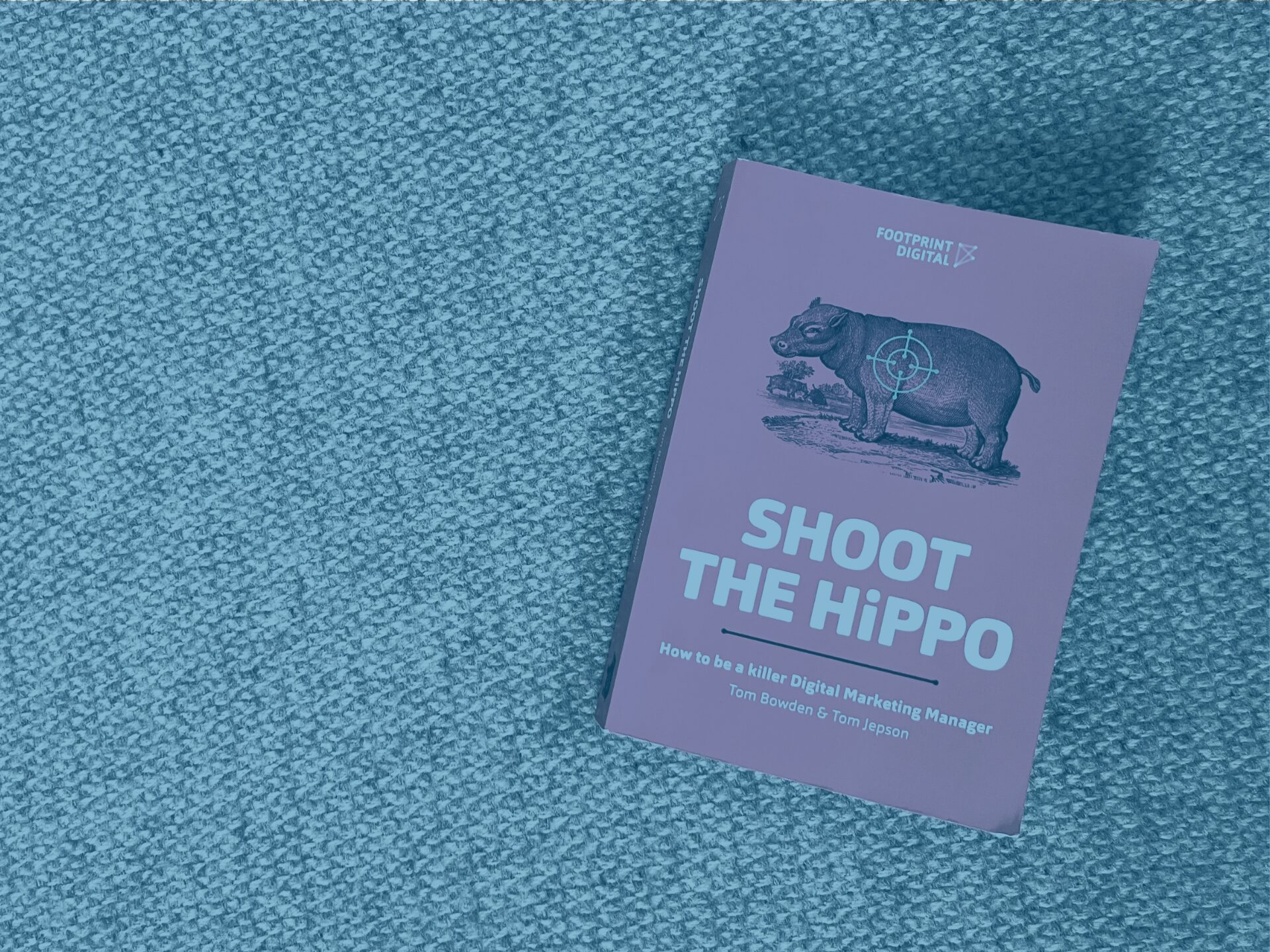 Blue shoot the hippo book photo