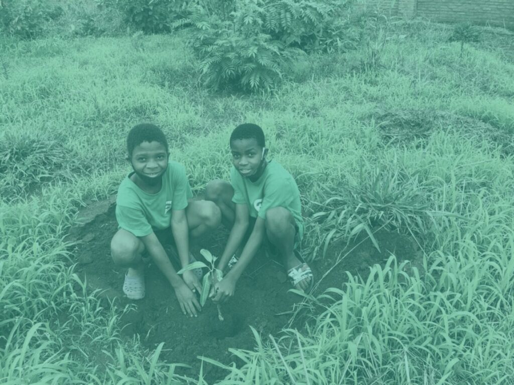 Teal building malawi two boys planting trees