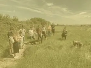 Yellow group shot foraging in shotley on apprentice challenge