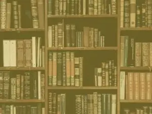 Yellow bookshelf