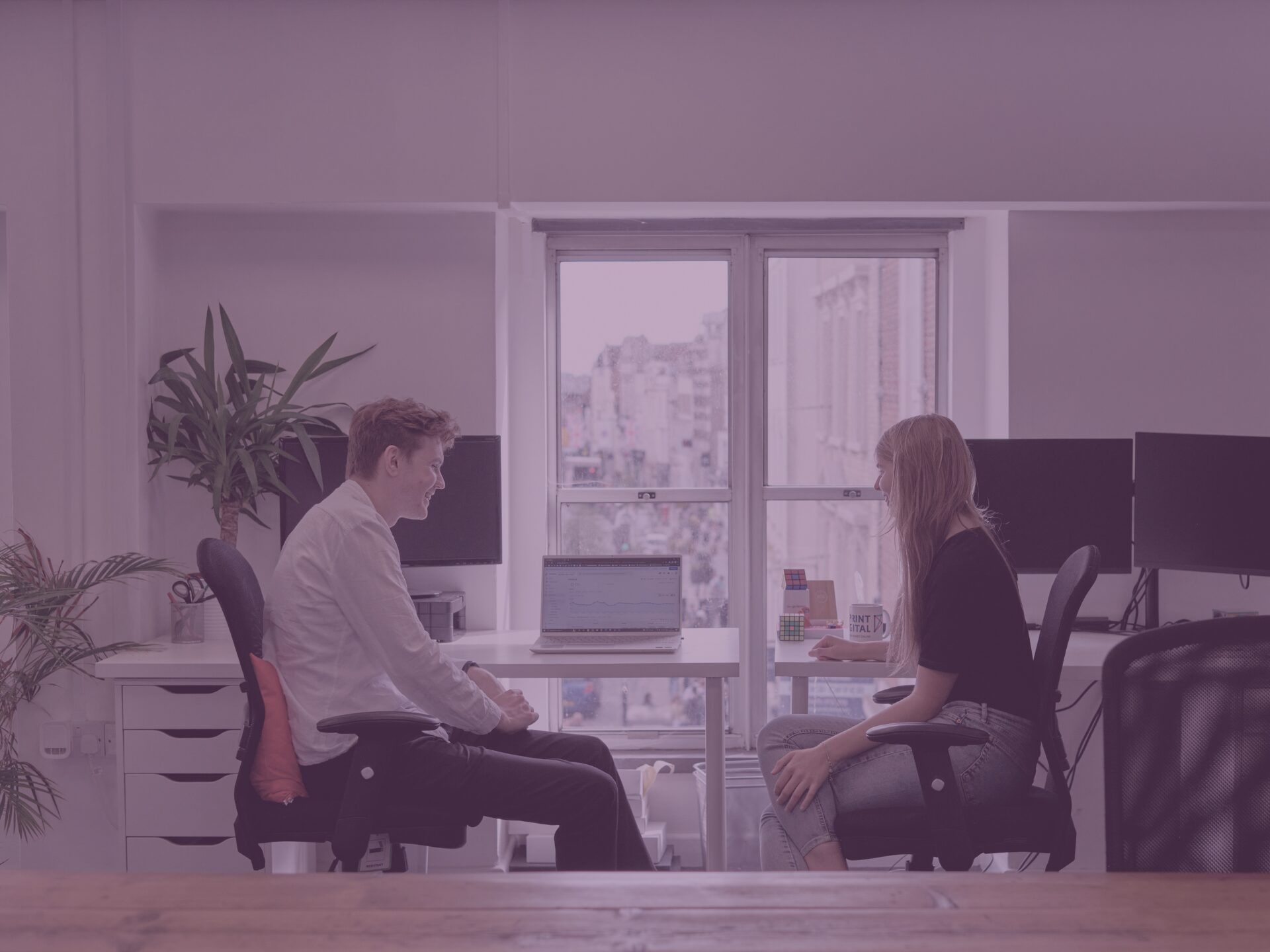 Purple office shot reuben and becky sat by the window