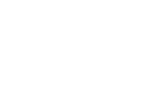 linkedin white logo 300x225